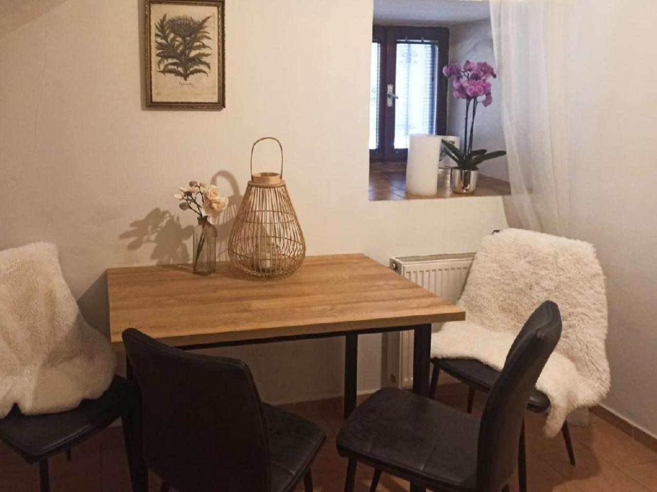 Apartmany Ziakova - Ubytovani Nove Hrady 111 Eksteriør billede